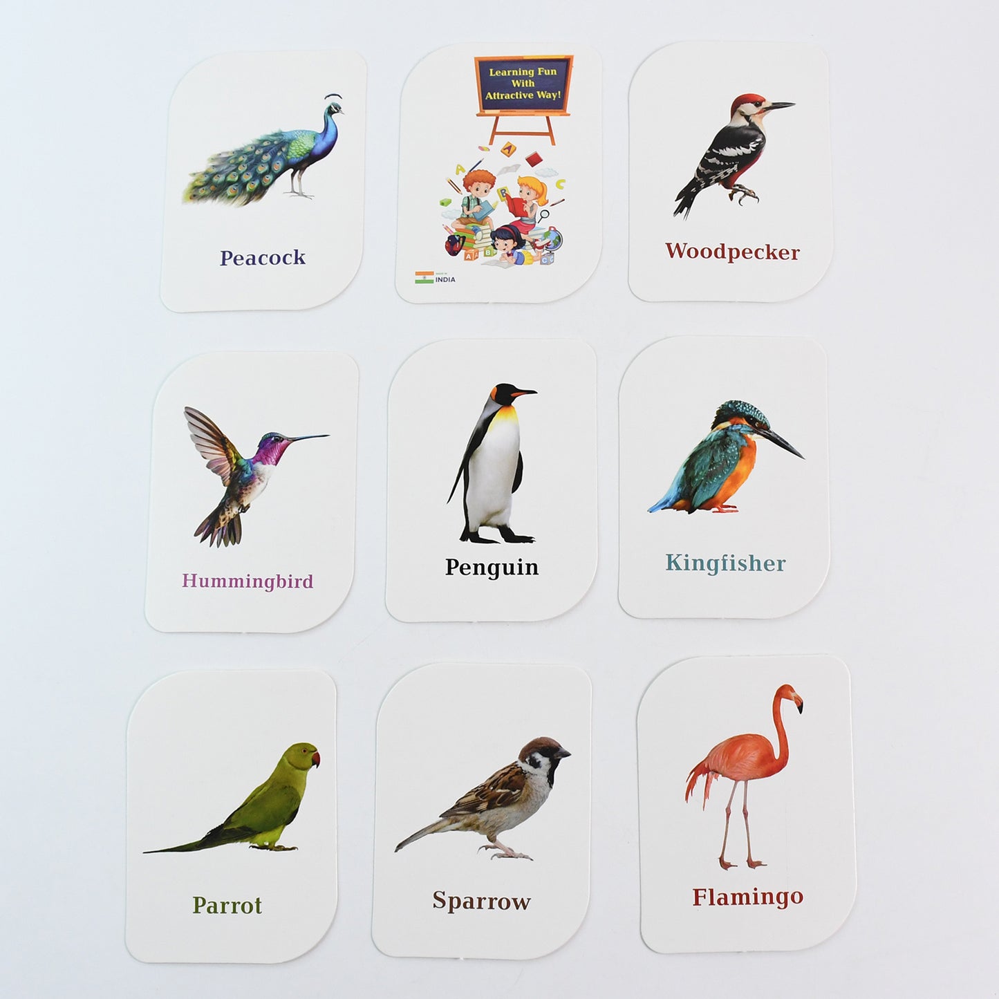 Kidkraft Early Learner Educational Flashcards 32 Birds