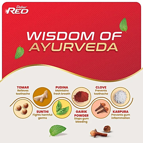 Dabur Red Ayurvedic Fluoride Free Toothpaste, 100 g