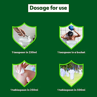 Dettol Antiseptic Liquid, 250 ml