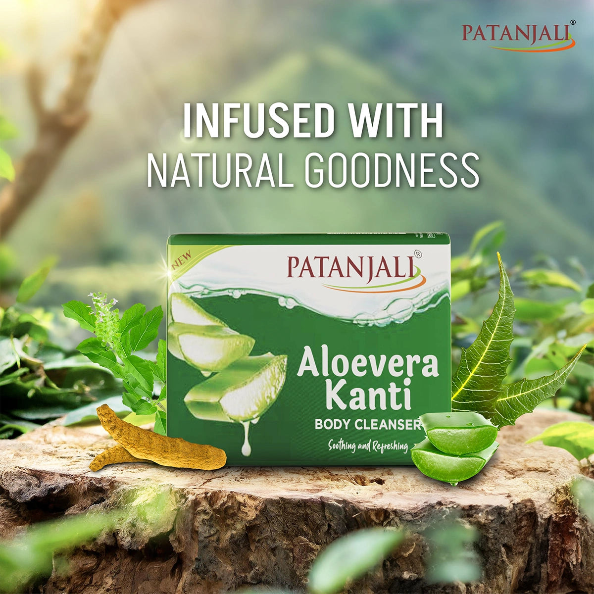 Patanjali Aloevera Kanti Body Cleanser, 75 g