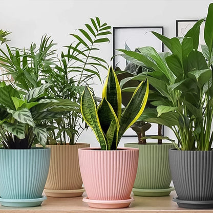 Round Flower Pot With Bottom Tray (5 Pcs Set  Small  1416 Cm)