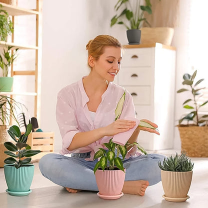 Round Flower Pot With Bottom Tray (5 Pcs Set  Small  1416 Cm)