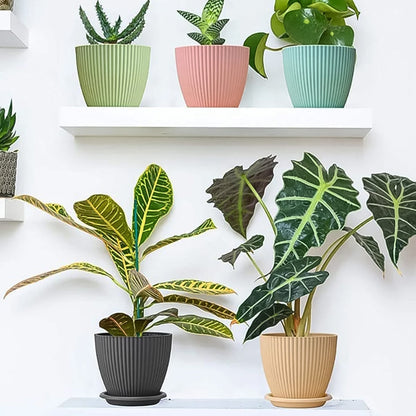 Round Flower Pot With Bottom Tray (5 Pcs Set  Small  1416 Cm)